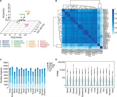 Transcriptome Atlas of 16 Donkey Tissues